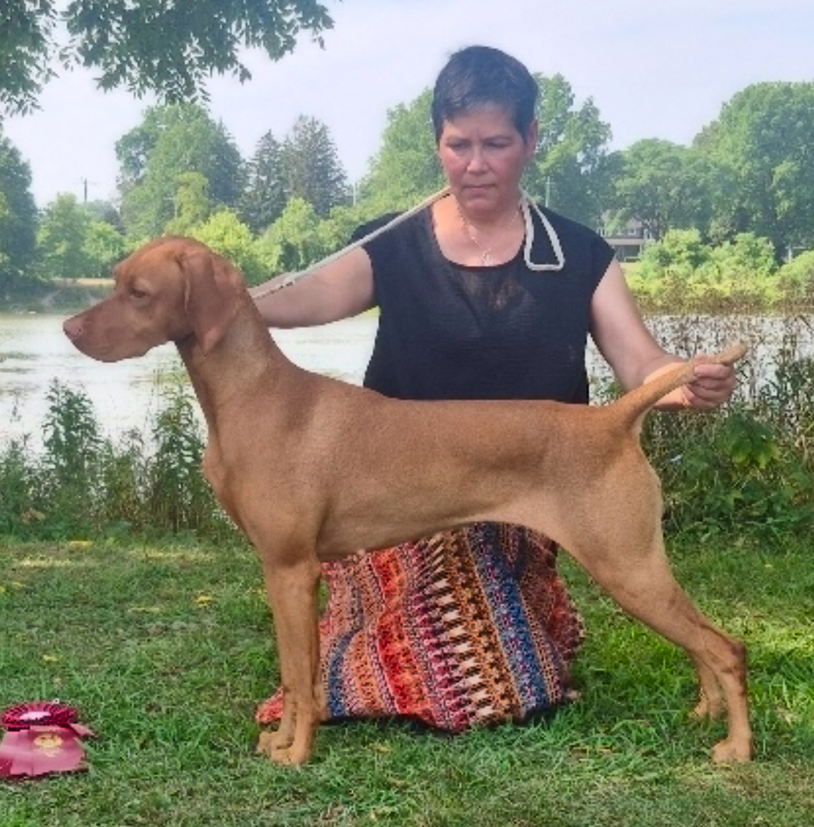 Image of Ferngolds Dancing in the Light Of Zia