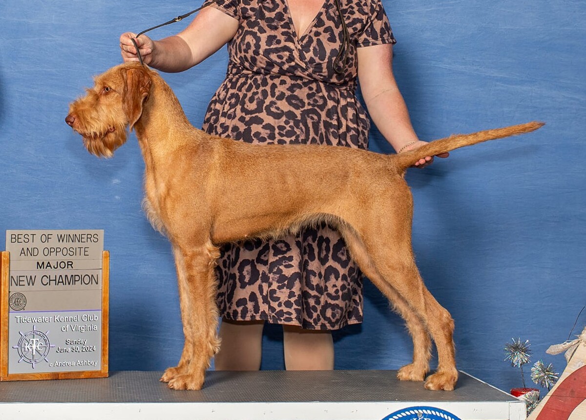 Image of Vizcaya's Vista Ridge Hermia At Cumberland