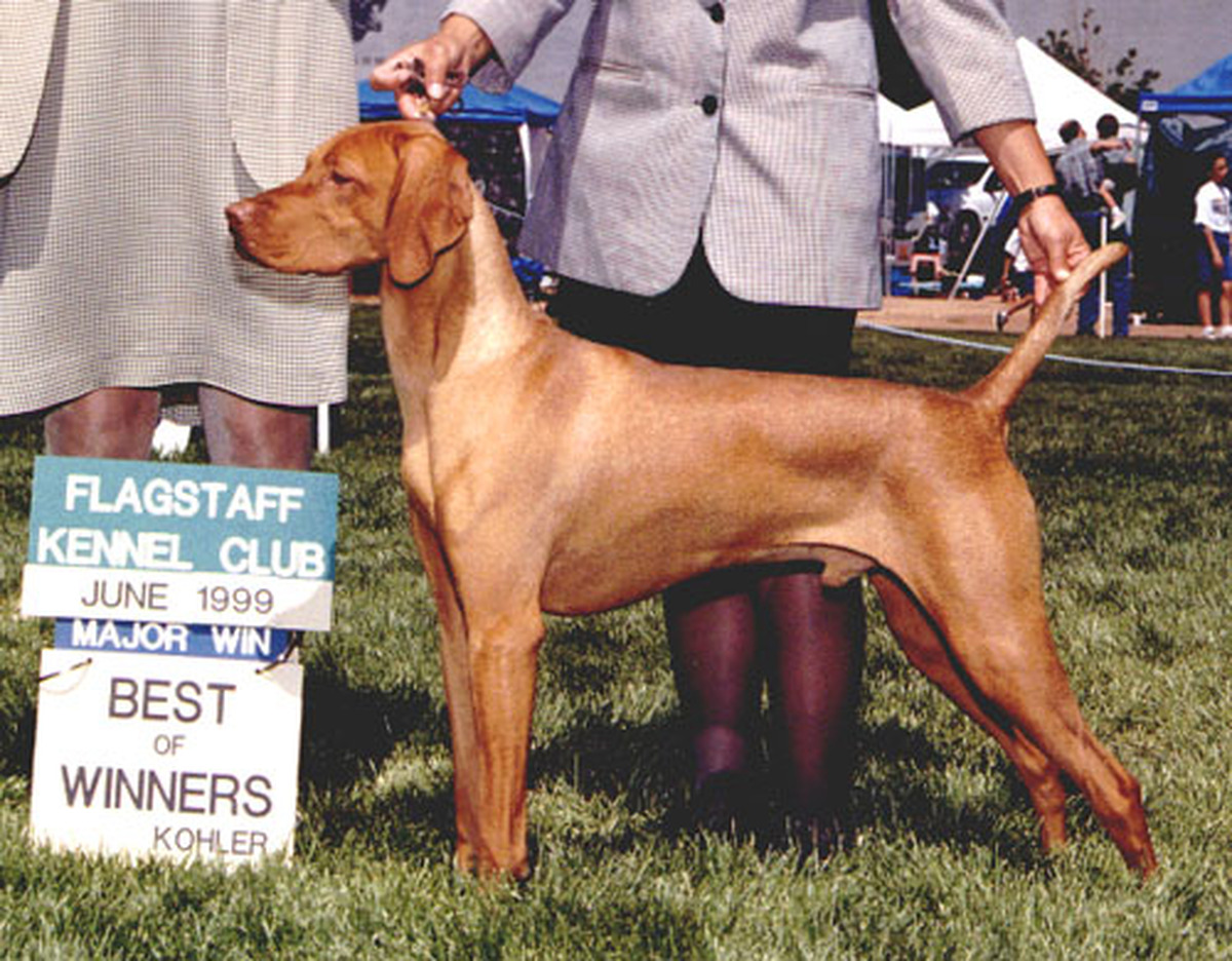 Image of Poquito's Chile Buena Vida