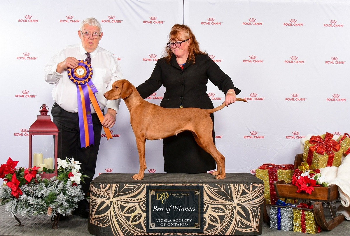 Image of Tina Trading Naira Nadira