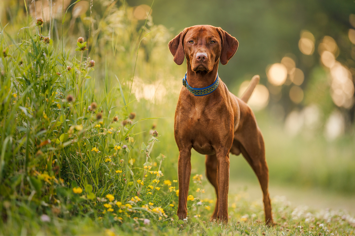 Image of Sienna Pointe's Dr McDreamy
