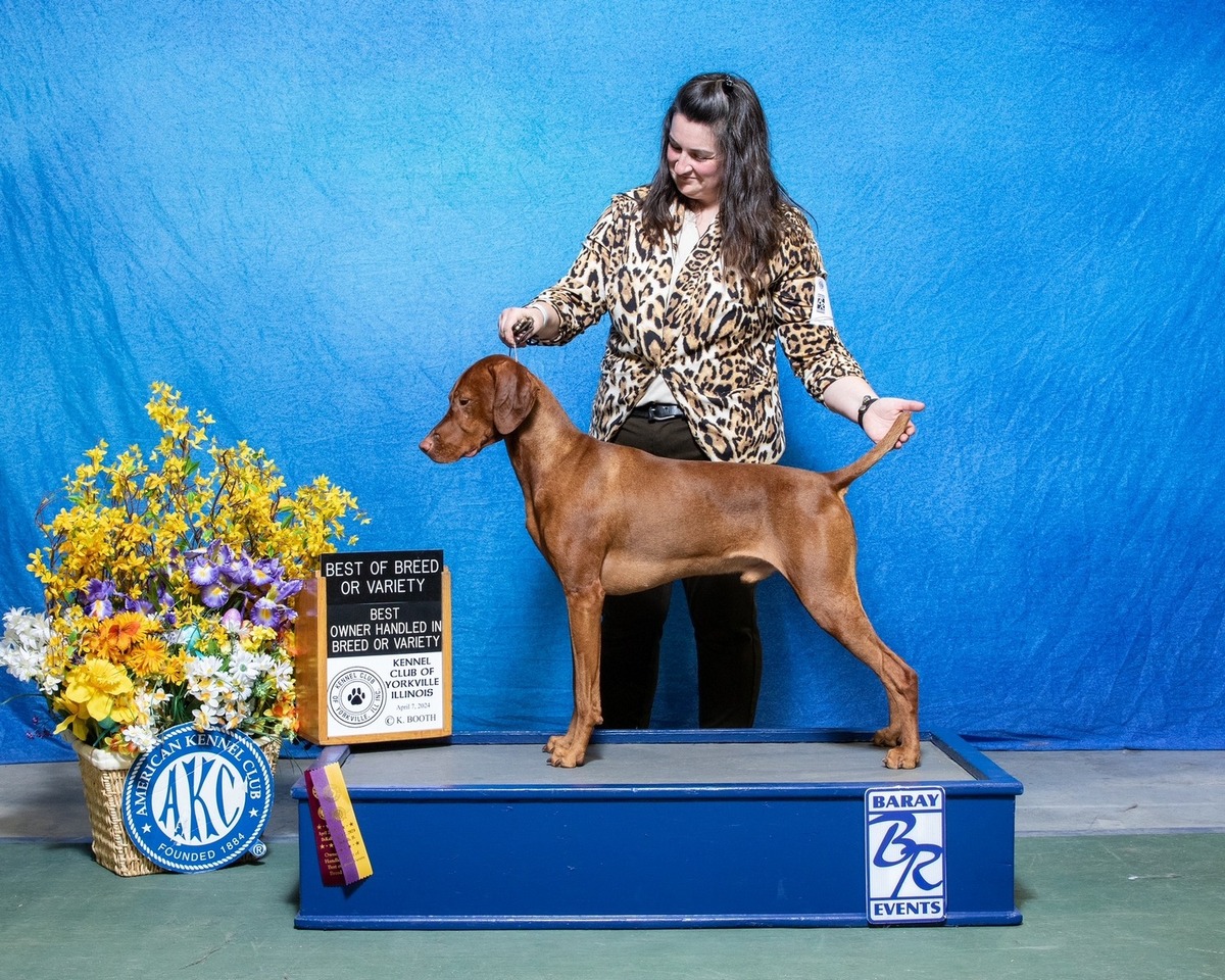 Image of Sienna Pointe's Dr McDreamy