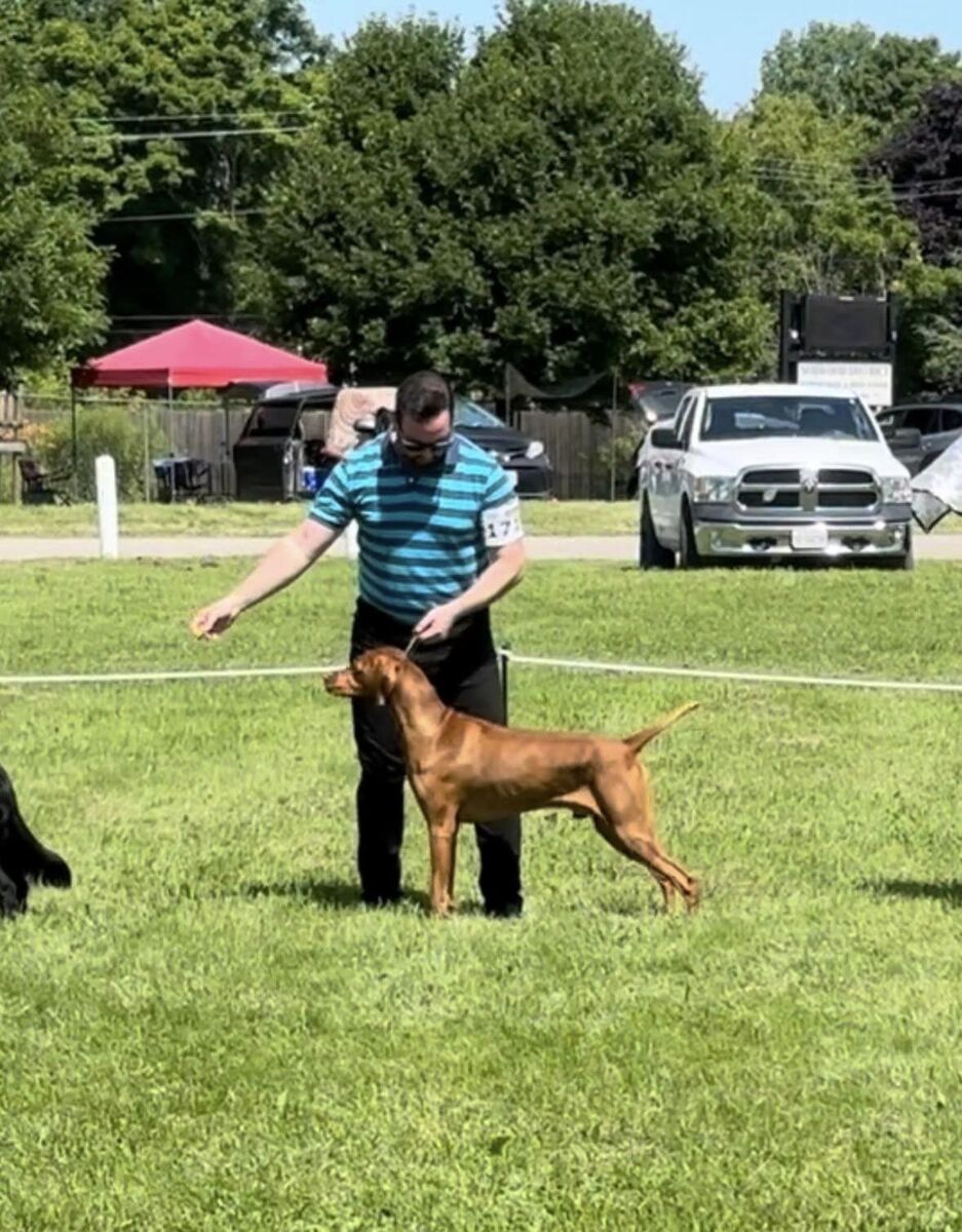 Image of Chakra's Take It Easy