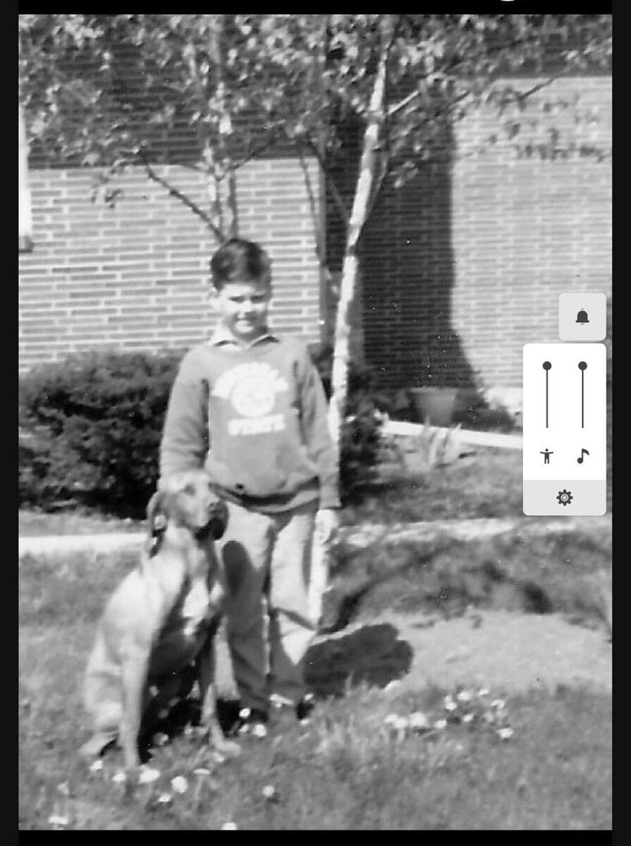 Image of Vitez Hevesi Csillag