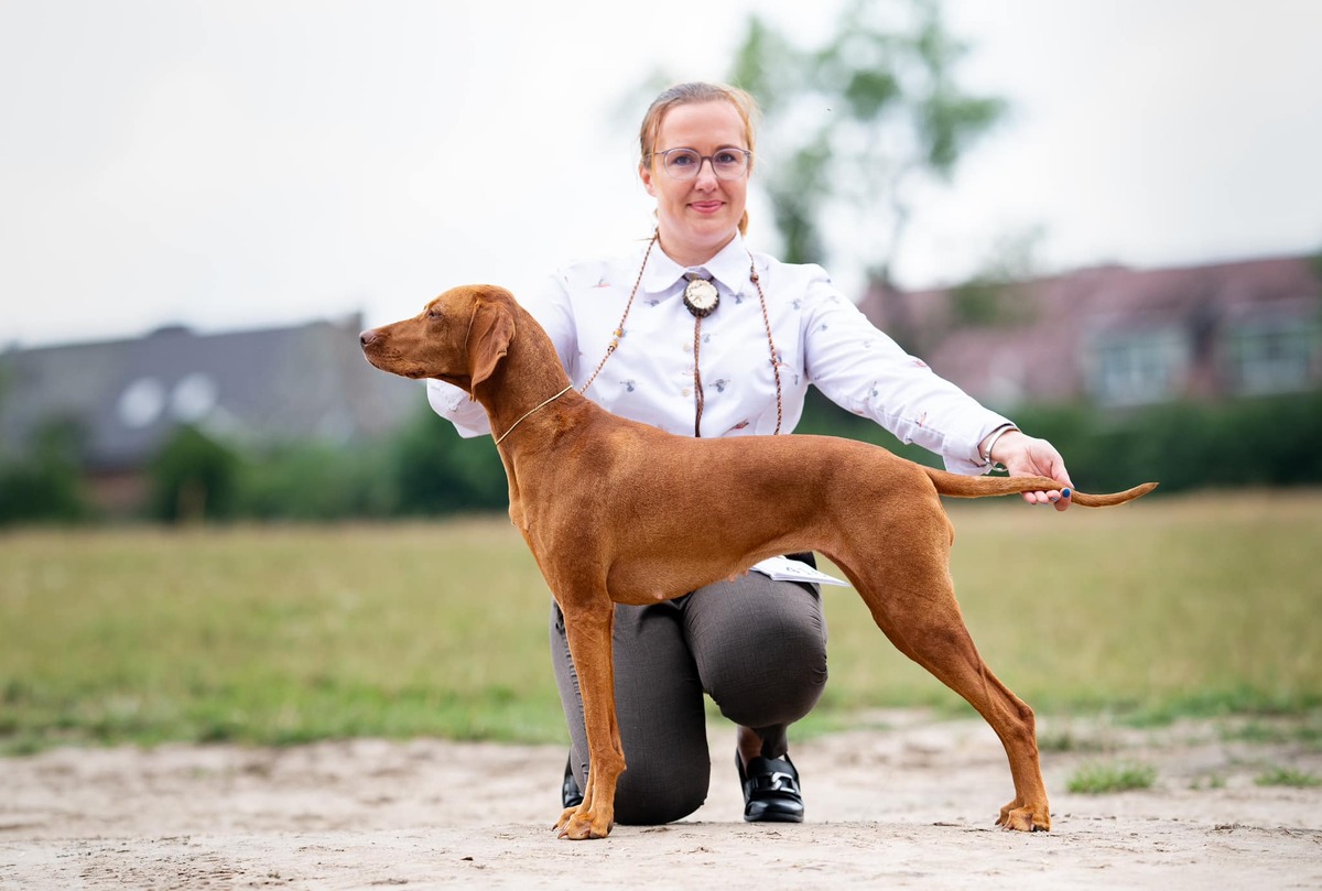 Image of Guido's Girl Danitty