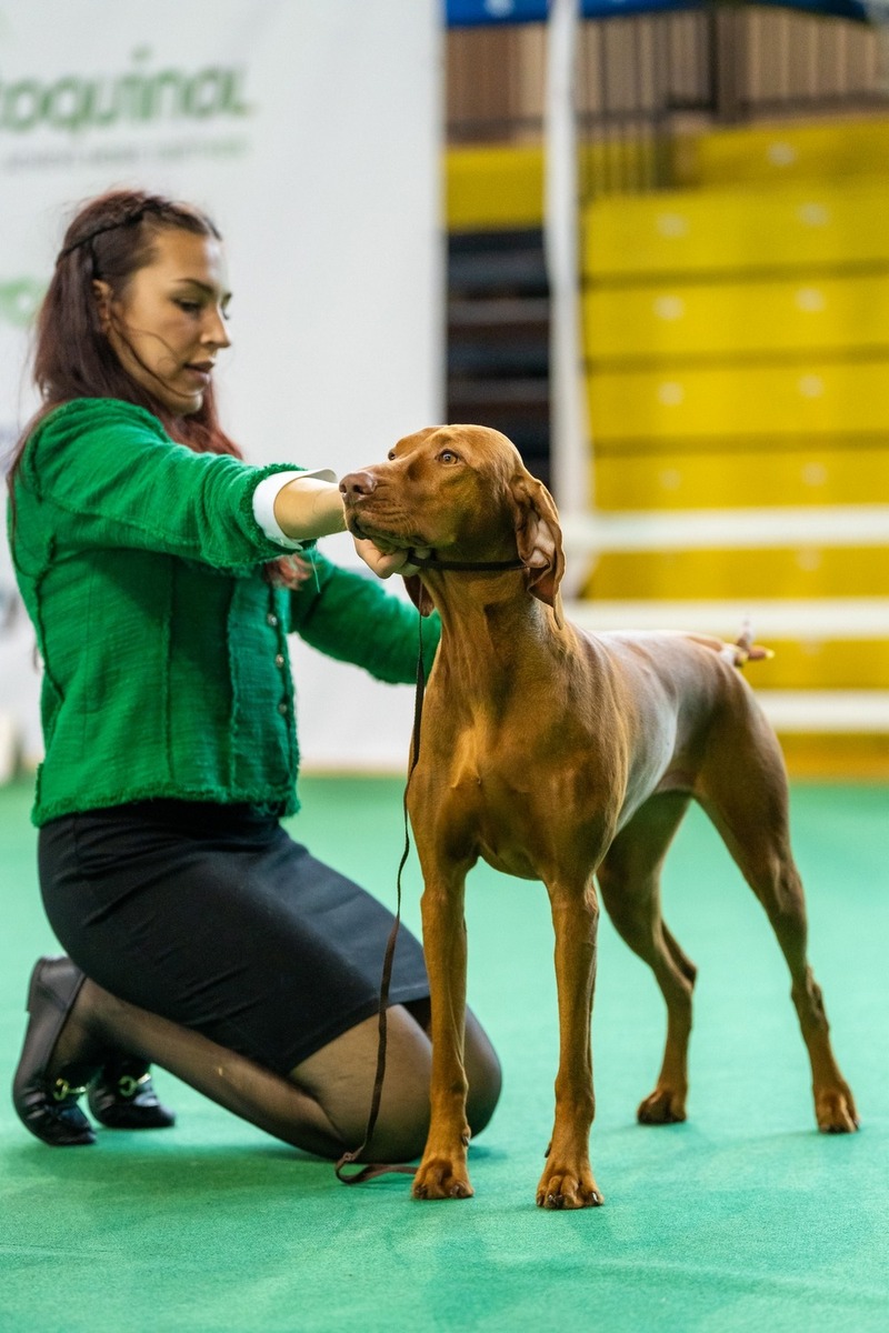 Image of Red Paprika Pepperoni Team