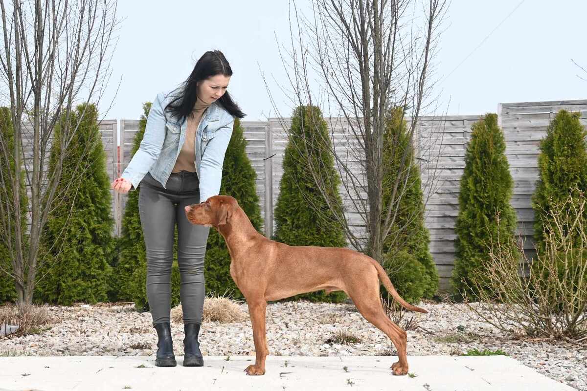 Image of Speed Inshayer