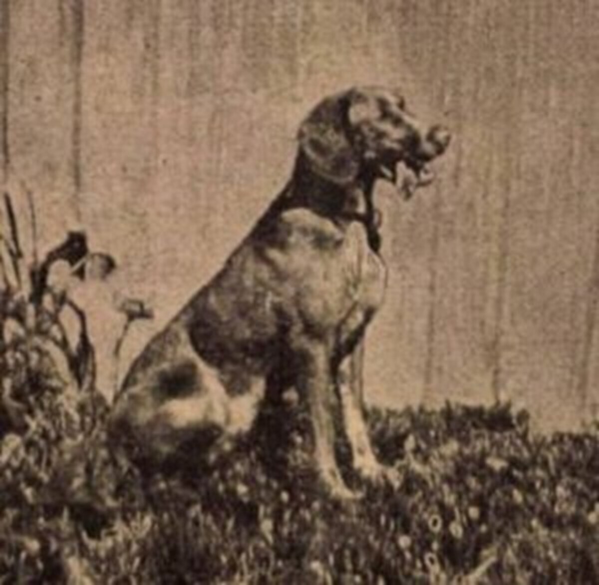 Image of Katiczá (Kati)