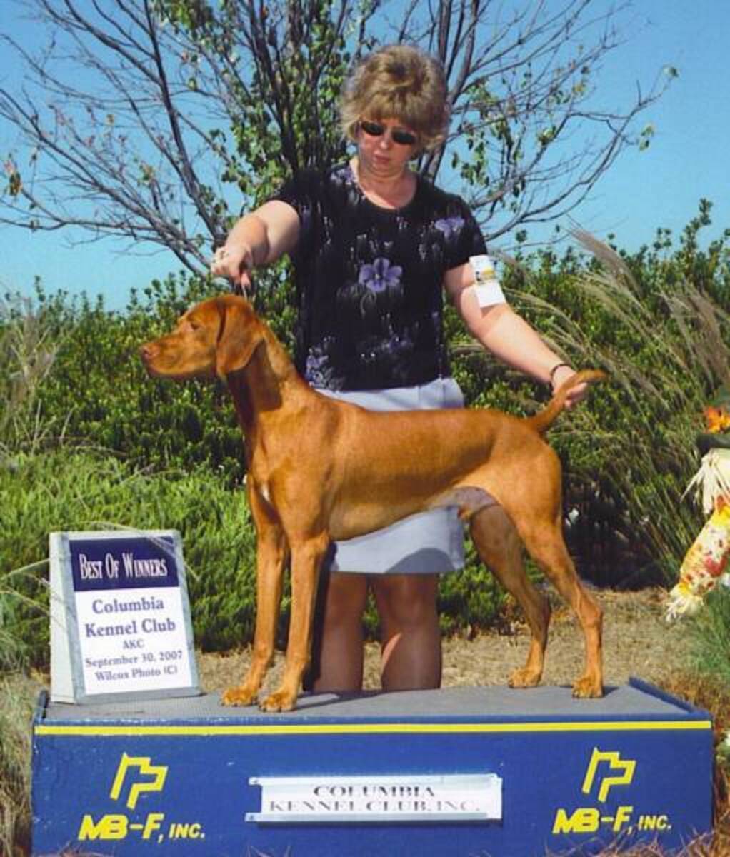 Image of Dobrocat's Cg Sean