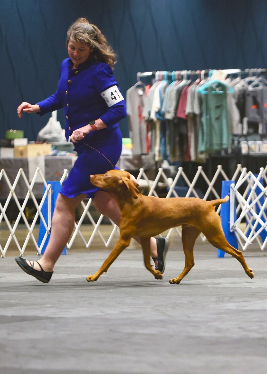 Image of Sokoldalu's Rule1-Nevr Screwover Ur Partner