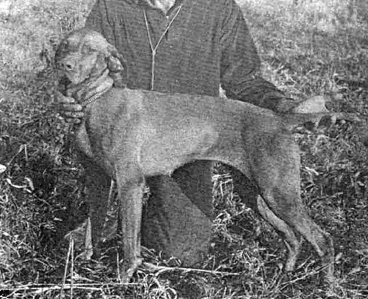Image of Futaki Juliska