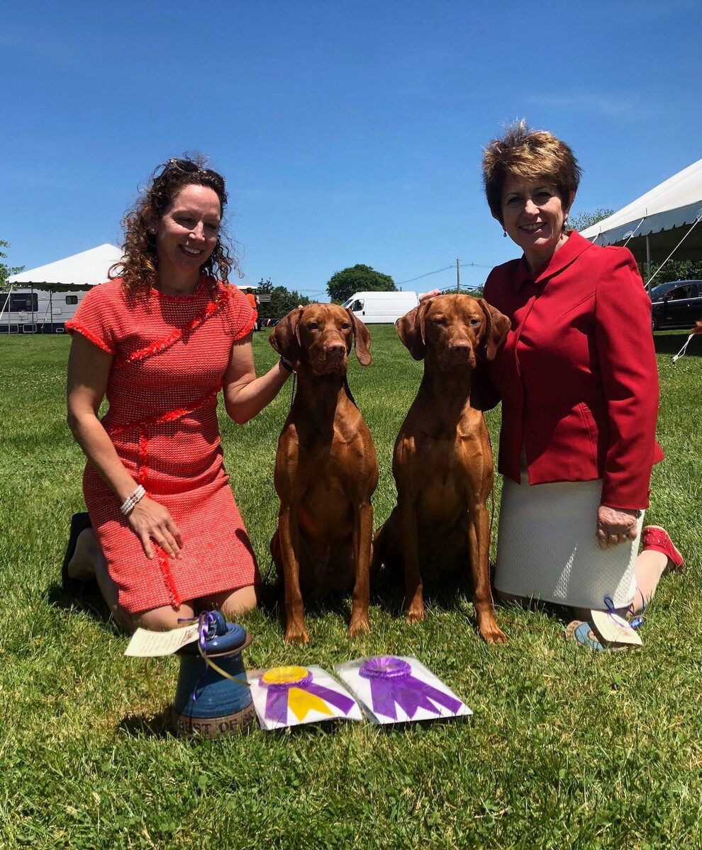 Image of Lea's Silli Prince Cooper