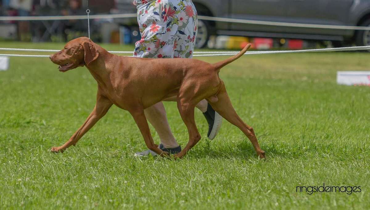 Image of Chakra's Take It Easy