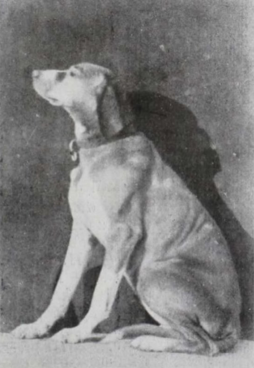 Image of Laura