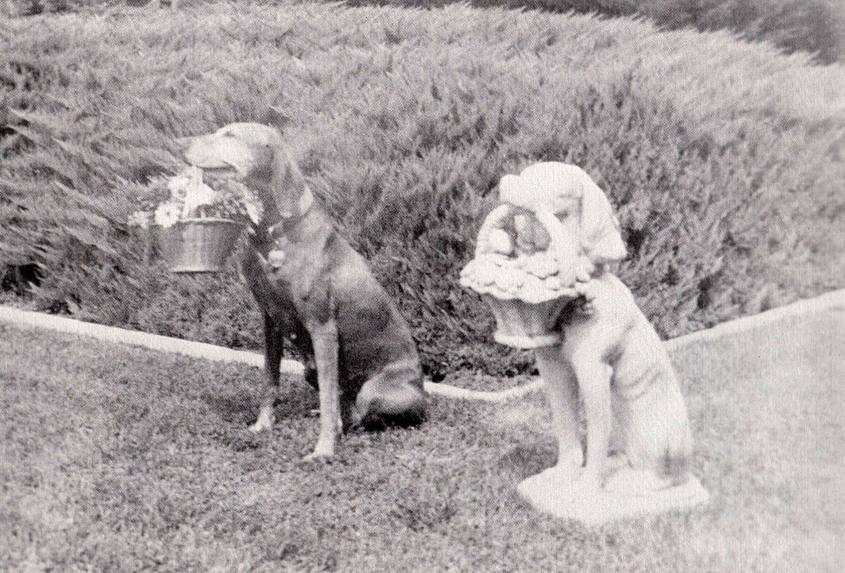 Image of Rotkopf's Vand Suzsannah