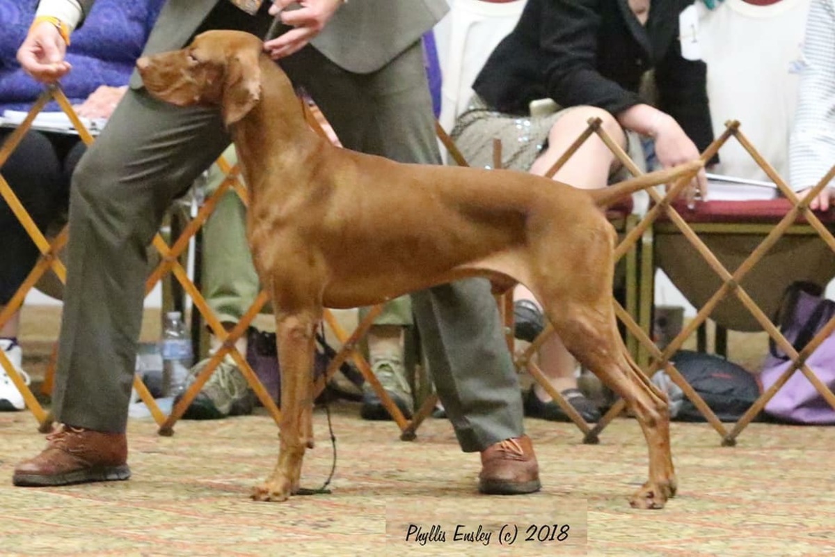 Image of Solaris J&J's Most Times You Can't Hear 'Em Talk