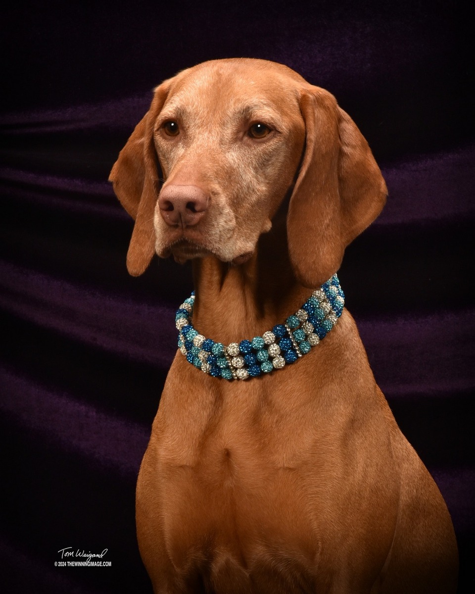 Image of Fezentrun's Lead the Way