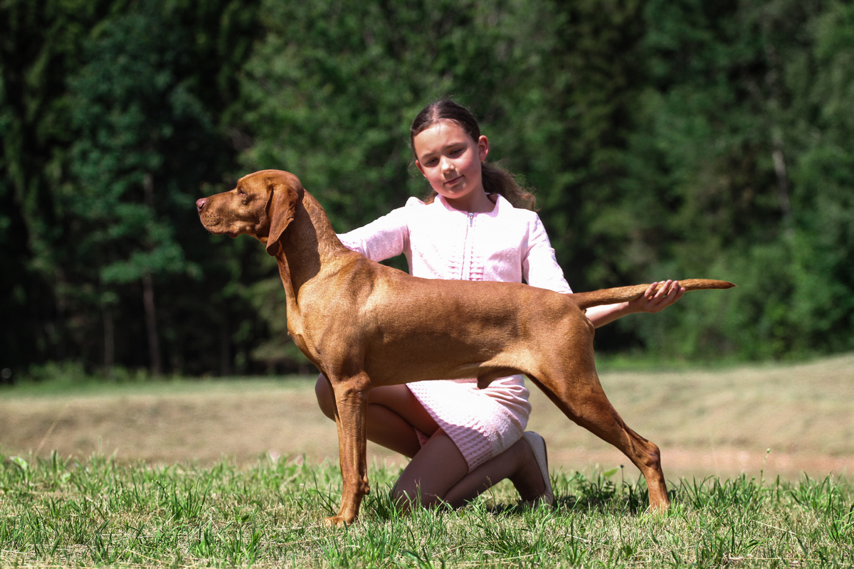 Image of Malomközi Haiko