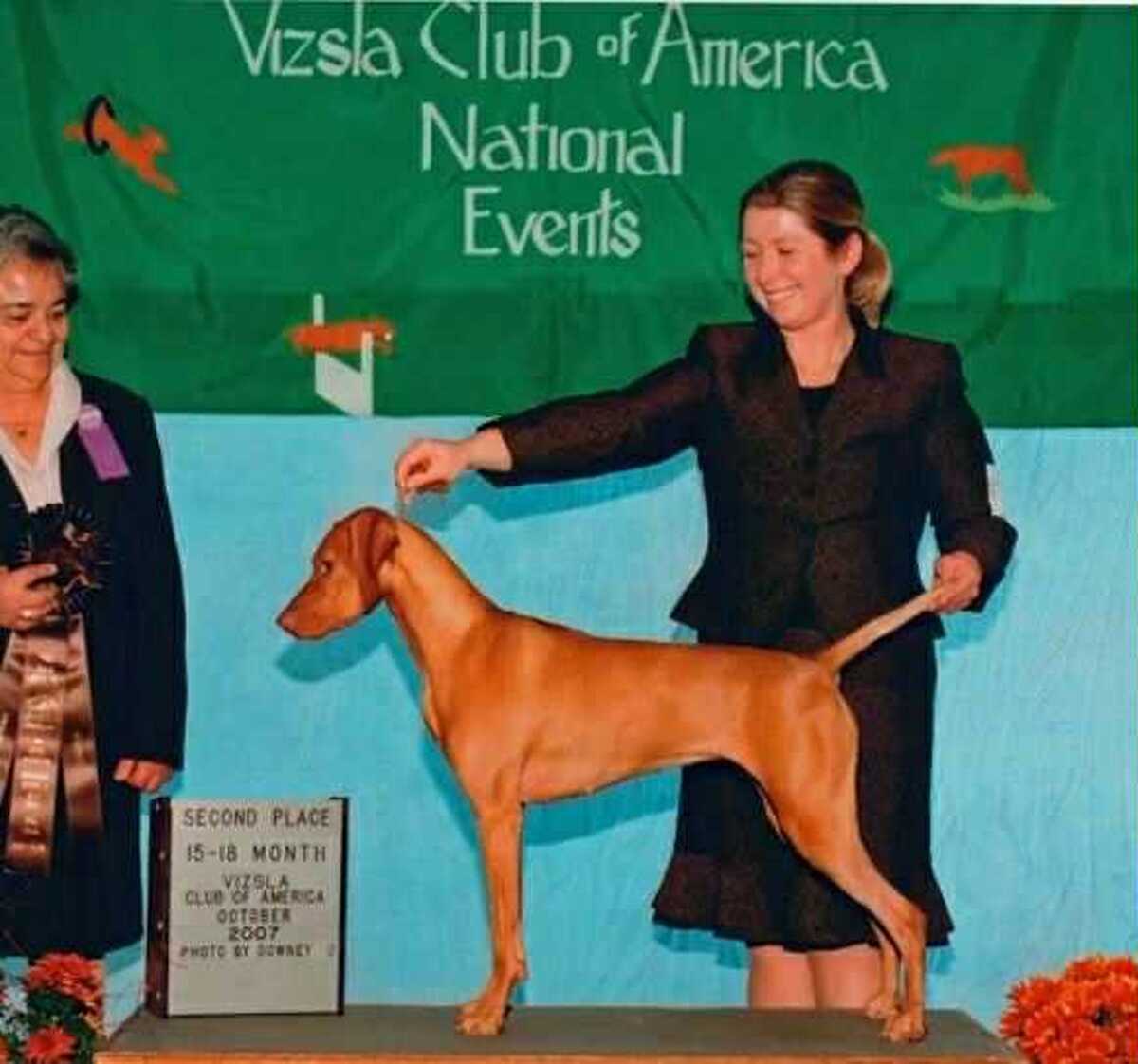 Image of Szizlin Winning Colors