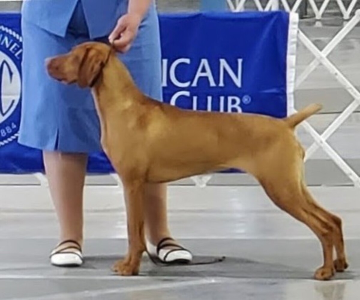 Image of Solaris Your Mama Don't Dance at Vizcaya