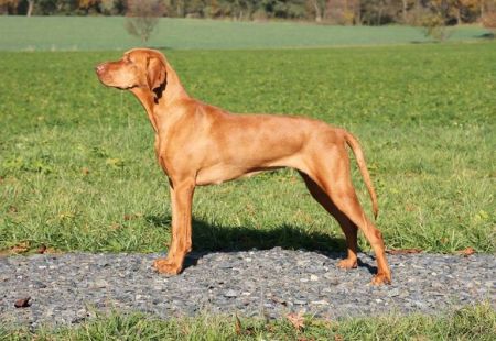 Image of Fatme Marylin Gurdau