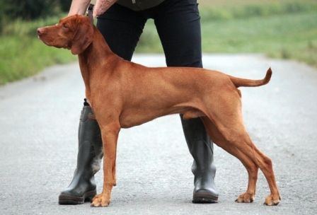 Image of Byron Bay od Kremence