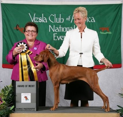 Image of Artisan's Symphony In Pink