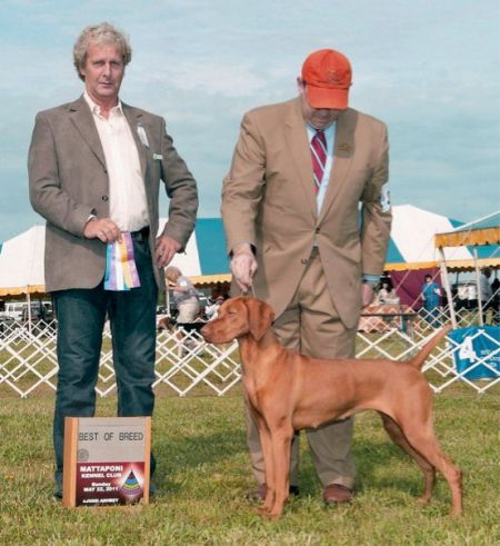 Image of Sassafras Play'n For Keeps