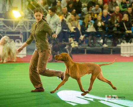 Image of Gyurkóvári Becses