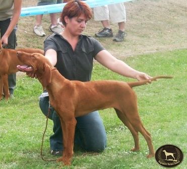 Image of Gyimesi Barka