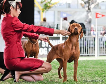 Image of Kimlise La Cygne