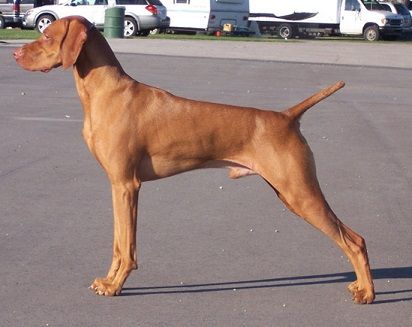 Image of Stonepointe Final Voyage