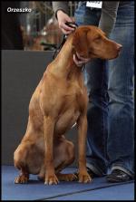 Thumbnail of Ashkii Damashca Aponivi