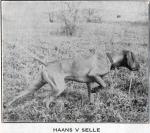 Thumbnail of Haans v Selle