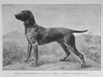 Thumbnail of Wodan Hektor II von Lemgo (DK)