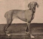 Thumbnail of Lidi (OVC 5)