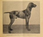 Thumbnail of Tellus von Freudenthal (DK)