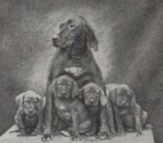 Thumbnail of Marcsa / Marcsa I