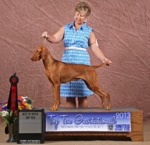 Thumbnail of Solaris Sweet Tart