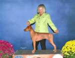 Thumbnail of Valhalla's Jule Of Our Sols