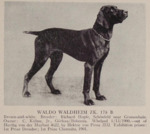 Thumbnail of Waldo Waldheim (DK)