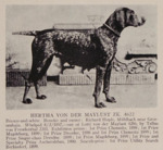 Thumbnail of Hertha von der Maylust (DK)