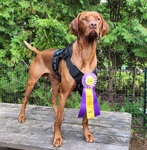 Thumbnail of Legendary Pretty Thing Odair Odds Are In His Favor