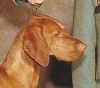 Thumbnail of Caveat's Tanoka Vad Vihar
