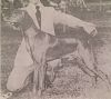 Thumbnail of Miklos Heliker