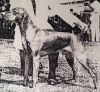 Thumbnail of Debreceny Dezso
