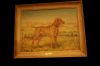 Thumbnail of Rex del Gelsomino