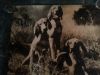 Thumbnail of Rex del Gelsomino