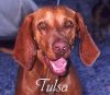 Thumbnail of Tulsa Of Trails West
