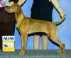 Thumbnail of Jen's Penny Madison's Uptown Girl
